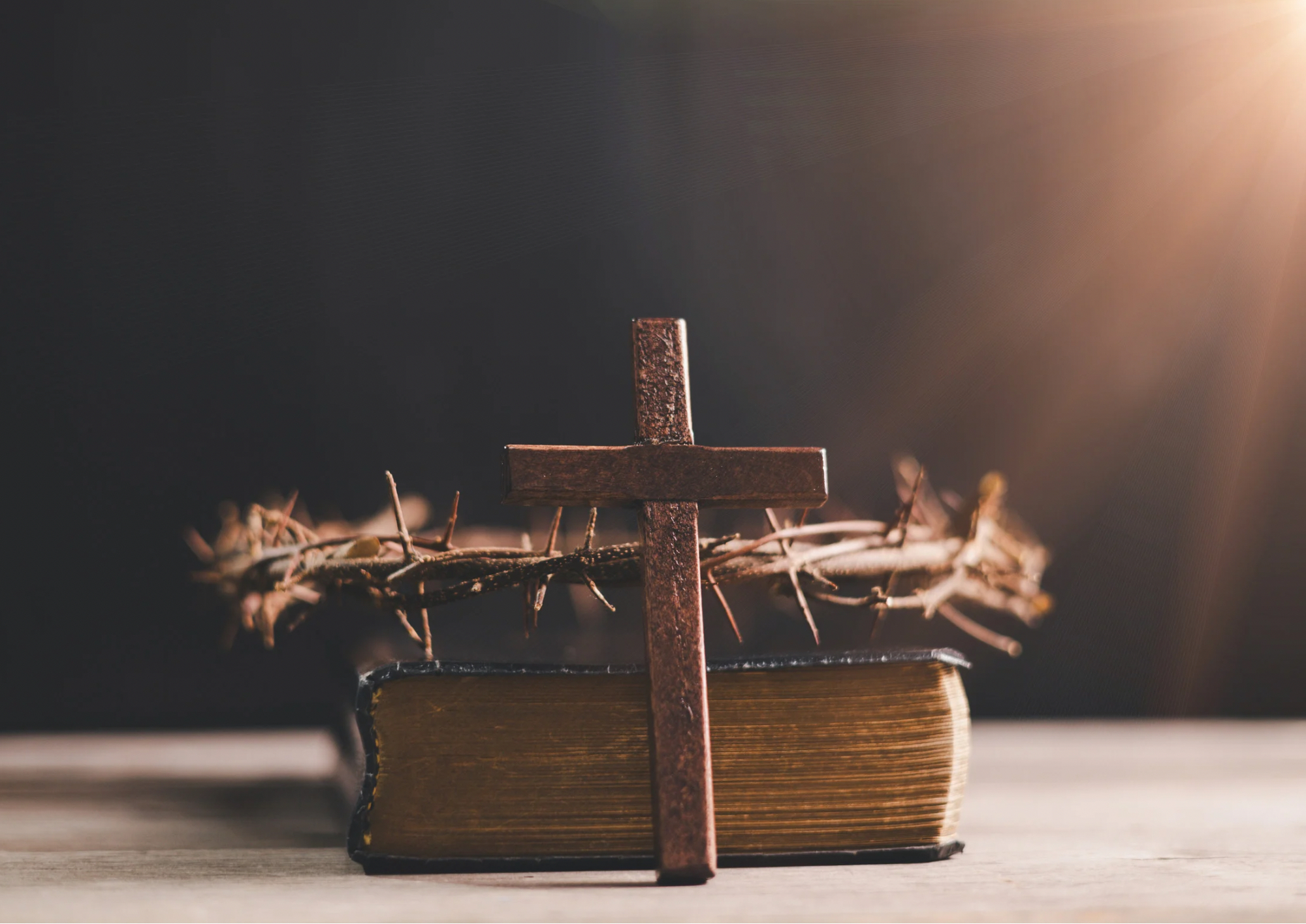 Buß- und Bettag 2026 – Fortbildungstag für Betreuungskräfte